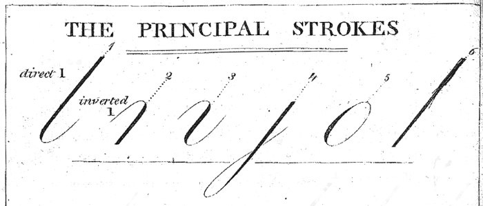 The Principal Strokes from John Jenkins Art of Writing, 1813